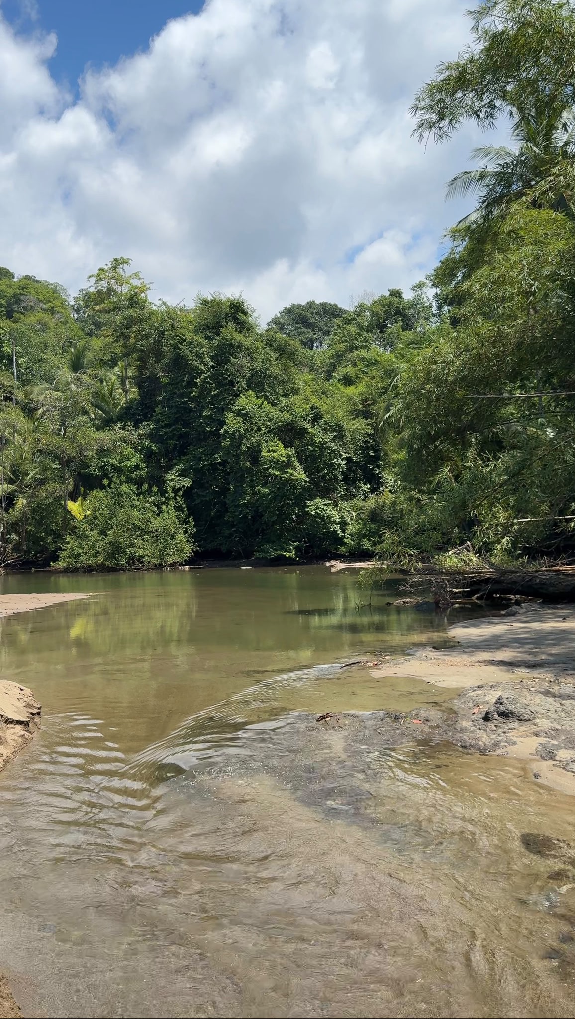 Corcovado National Park