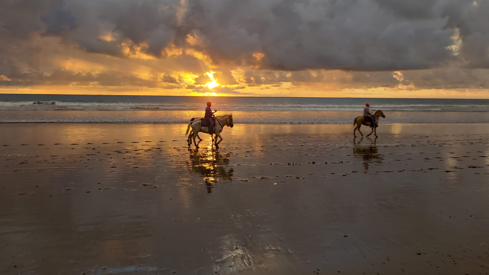 Horse Ride