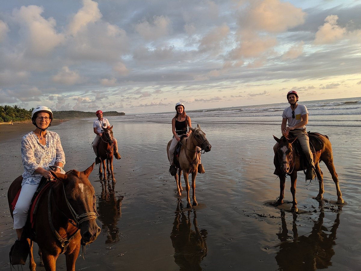 Horse Ride