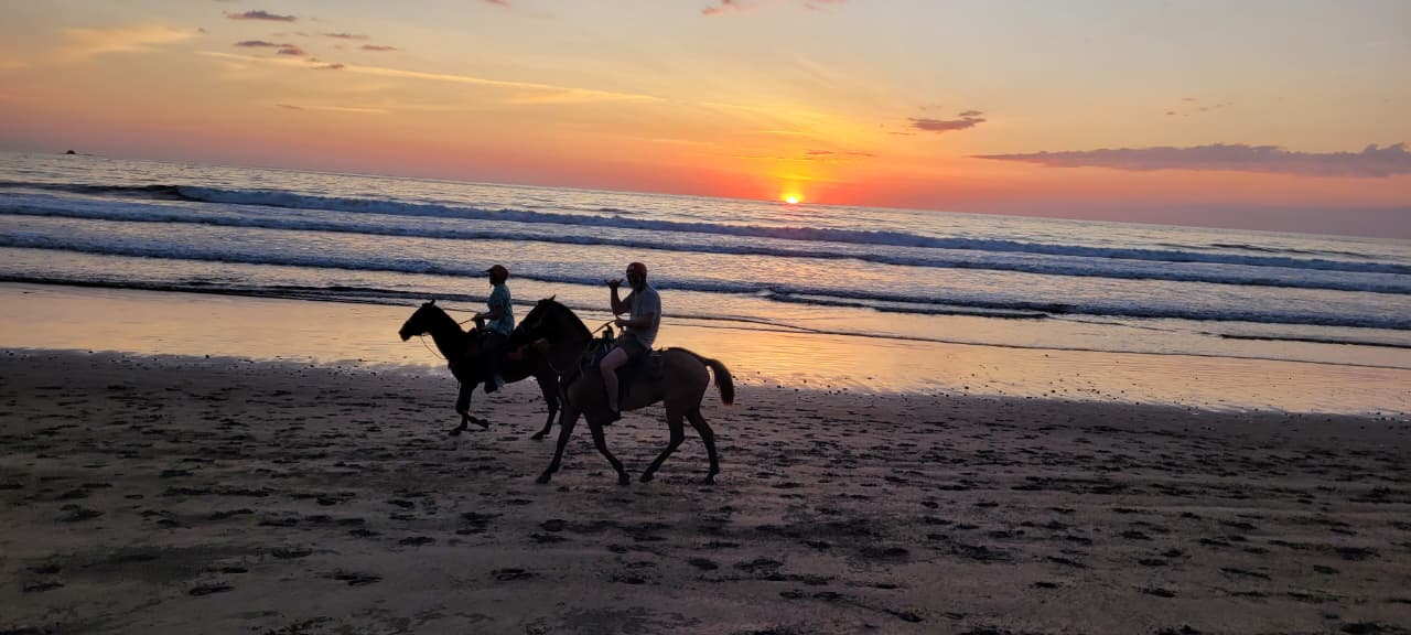 Horse Ride