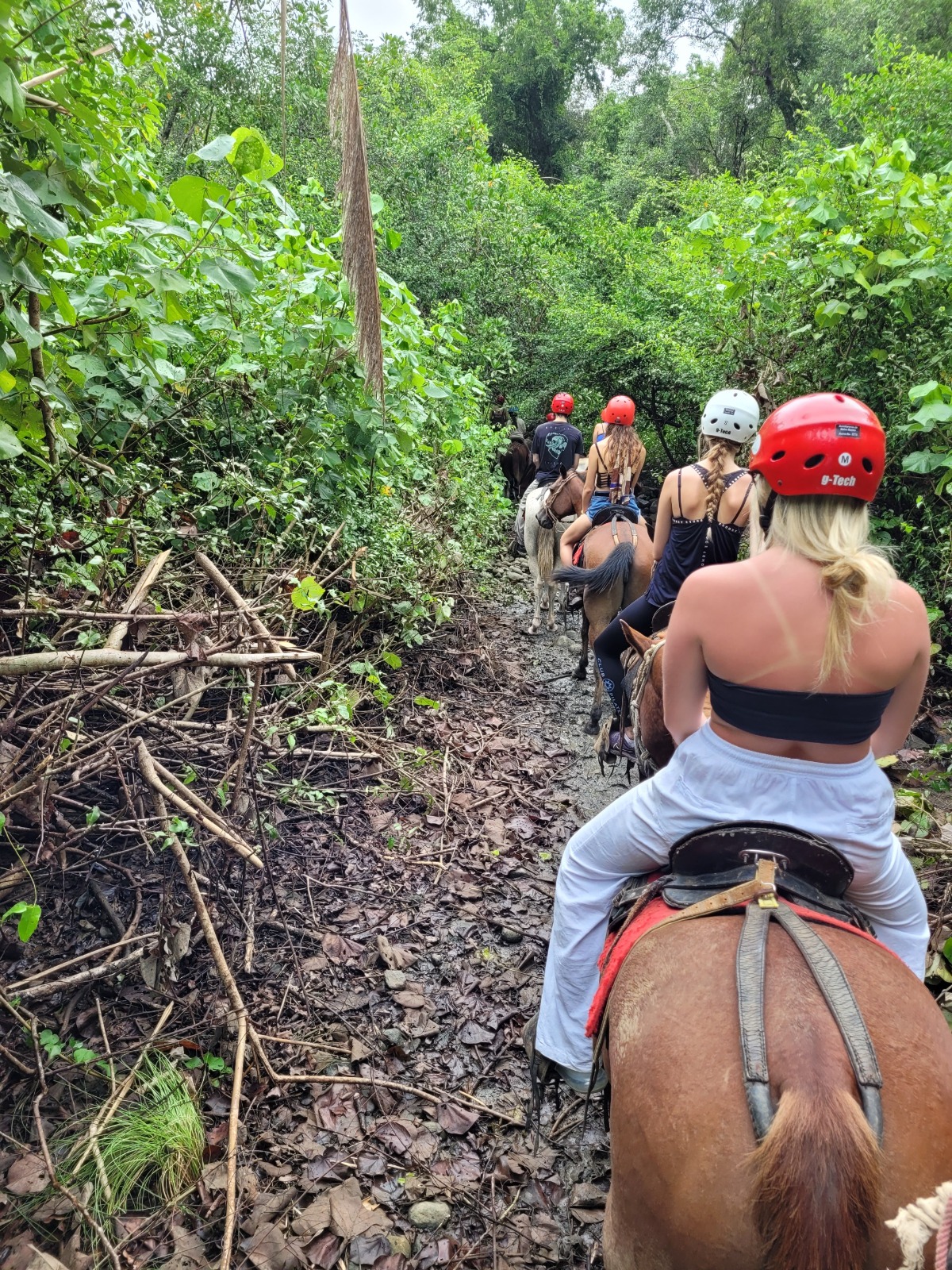 Horse Ride