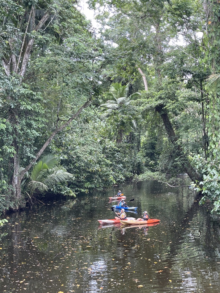 Mangroves