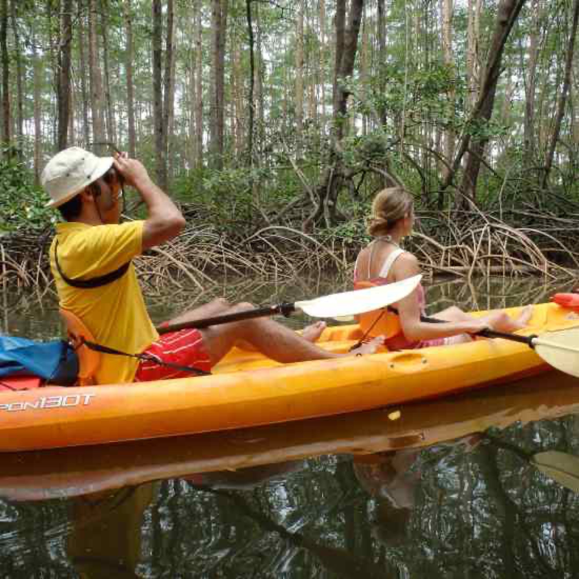Mangroves