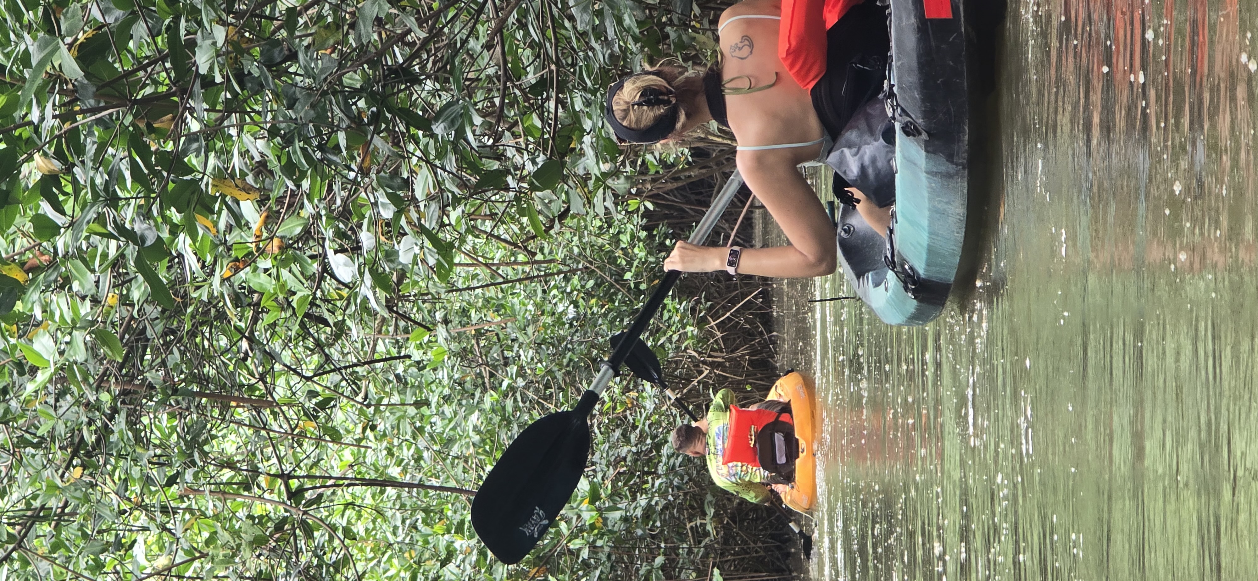 Mangroves