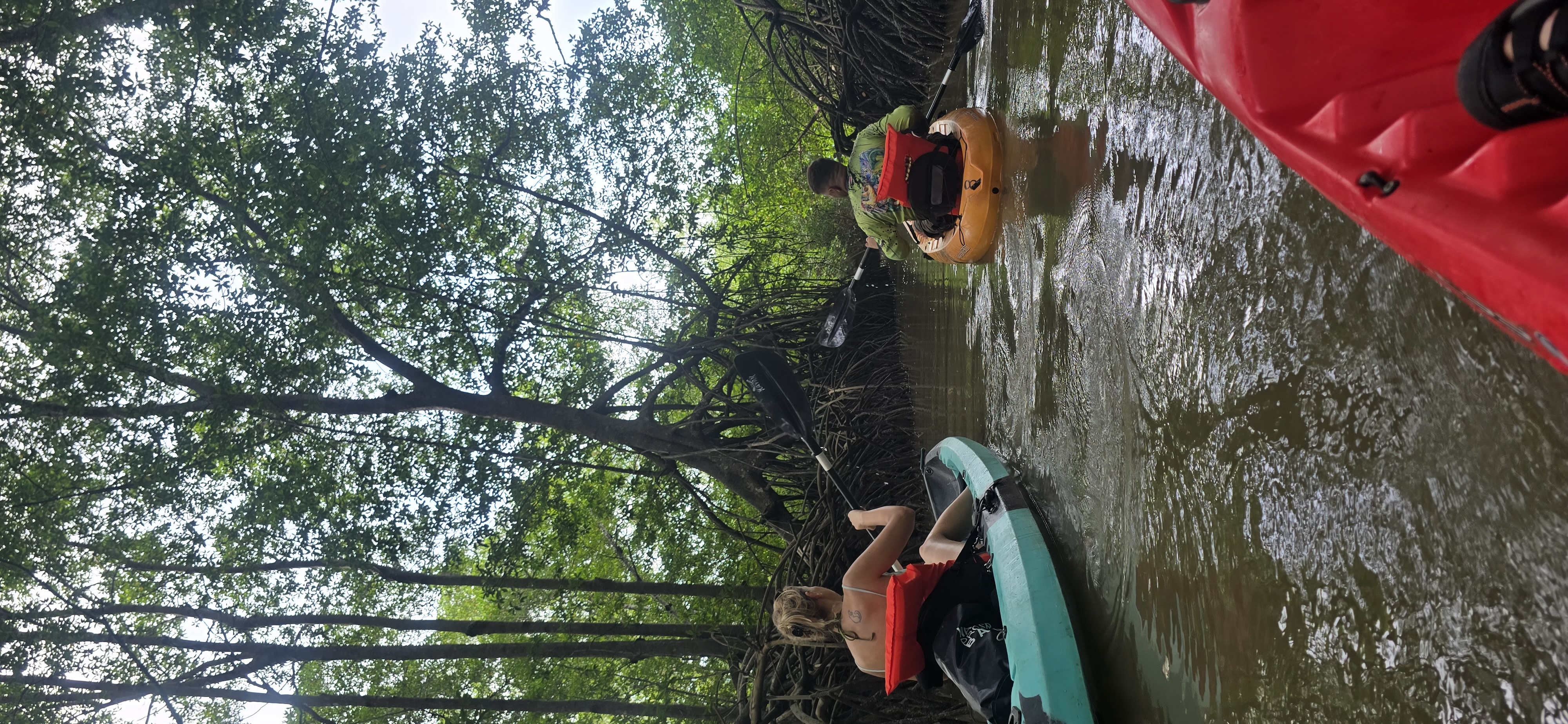Mangroves