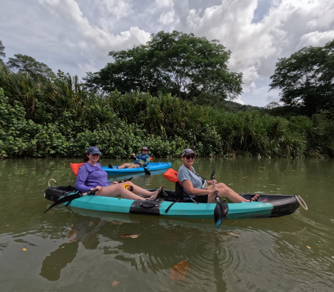Mangroves