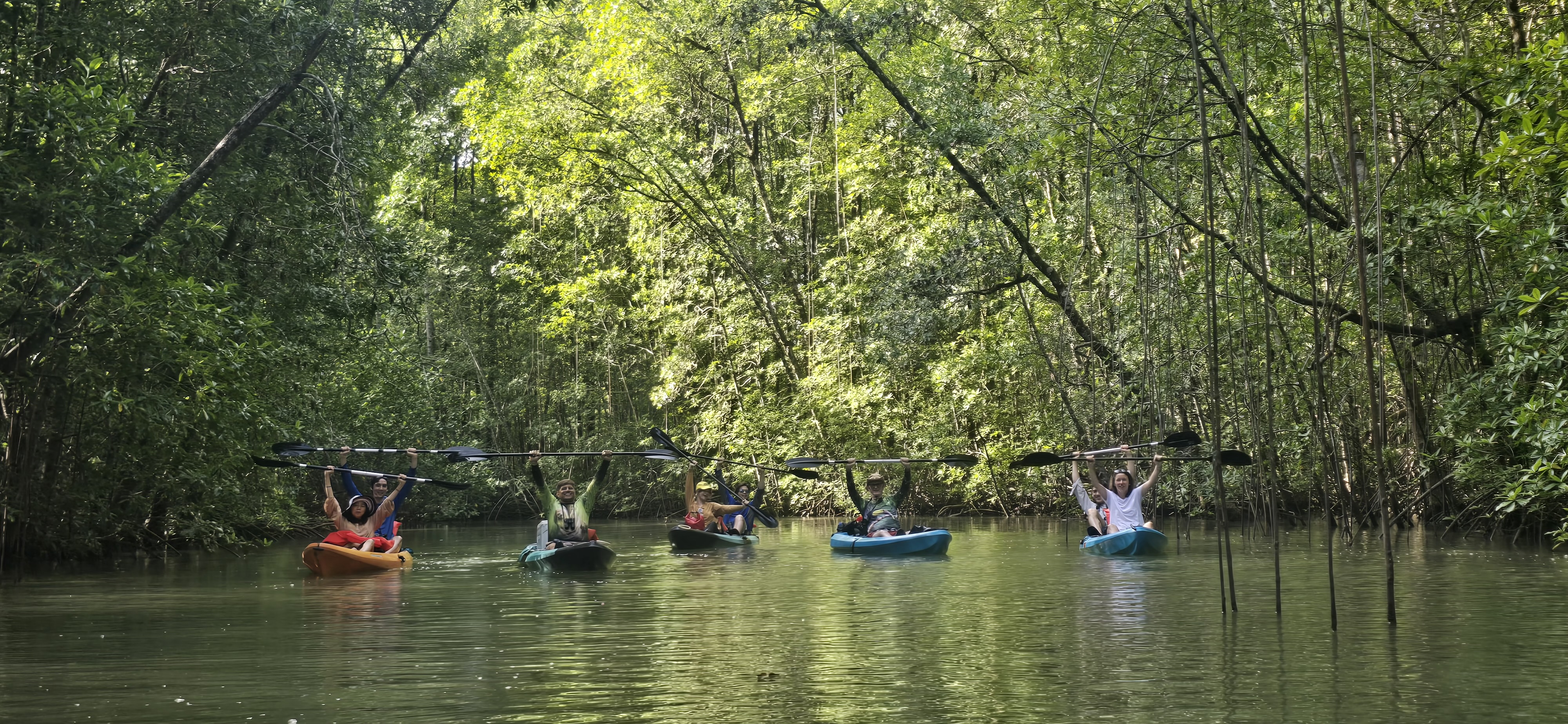 Mangroves Tour