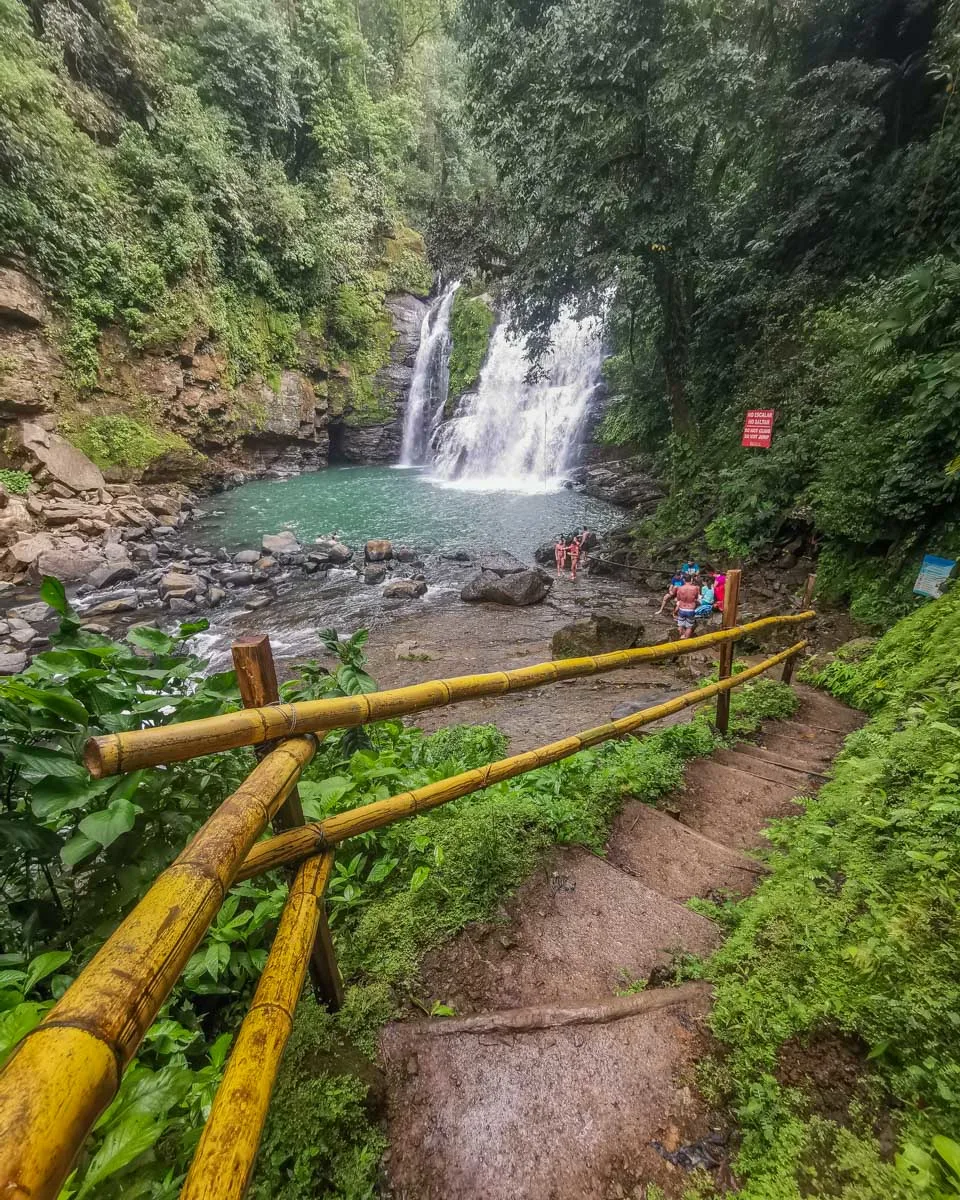 Nauyaca