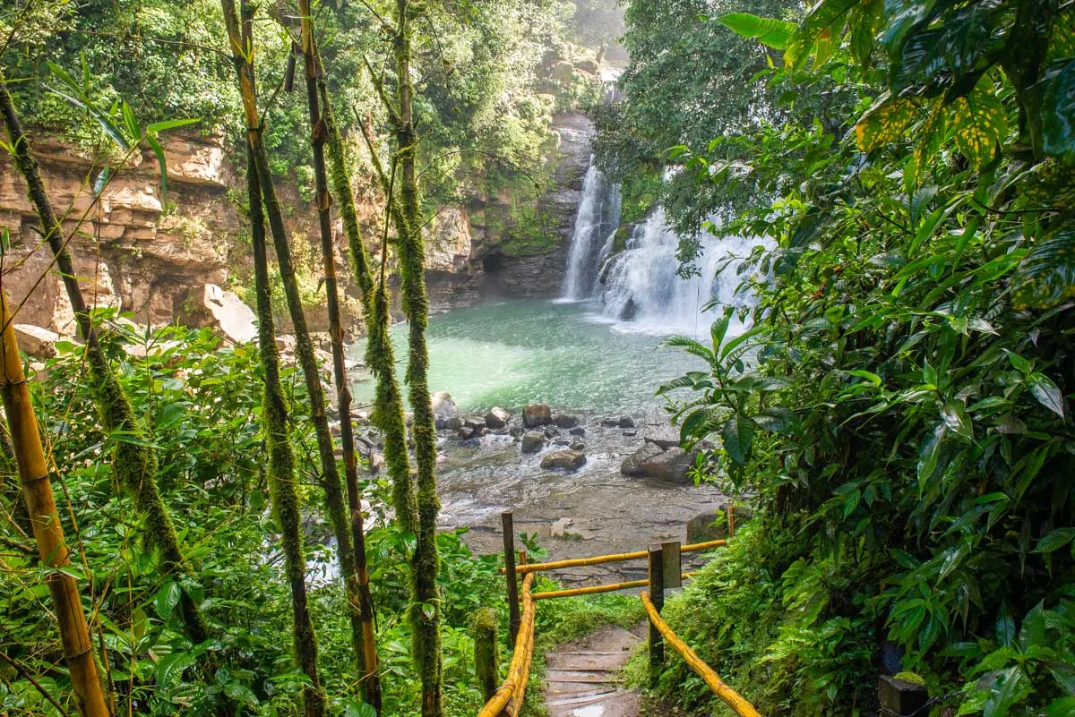 Nauyaca