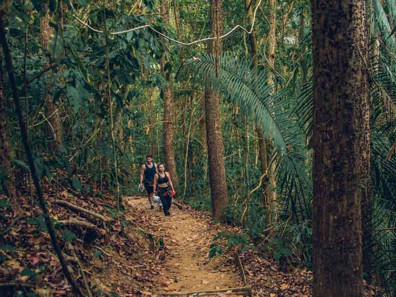 Wildlife Spotting Tour