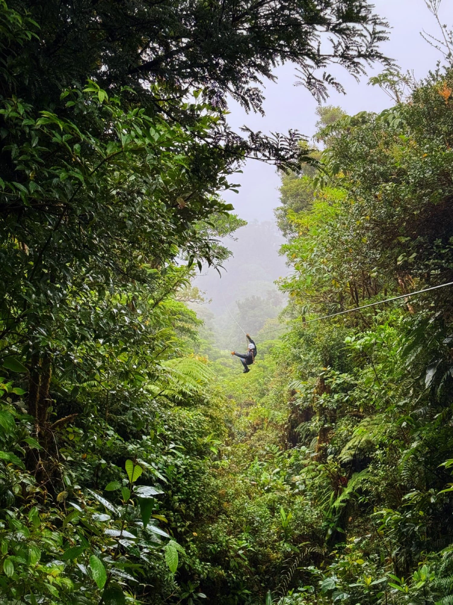 Zipline