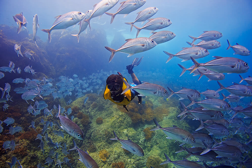Snorkeling