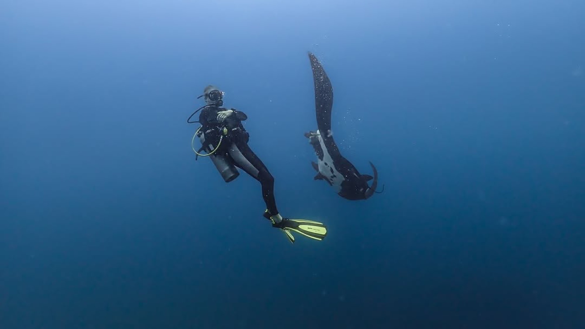 Scuba Isla del Caño